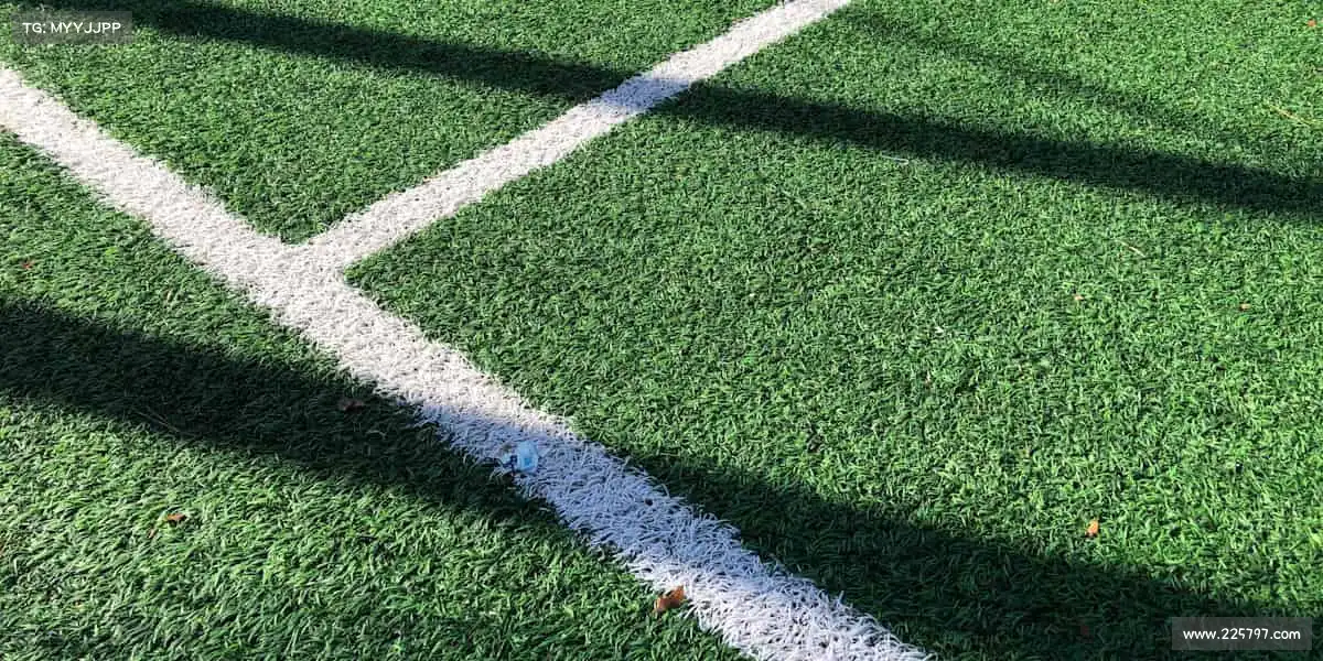 LETOU乐投——打破边界，你的赛场由你定义！🚀